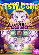 Provedores de Jogos 559X